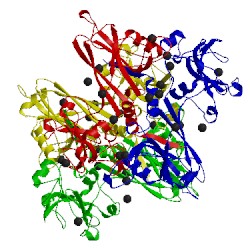 Image of CATH 1n80