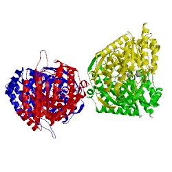 Image of CATH 1n8f