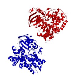 Image of CATH 1n97
