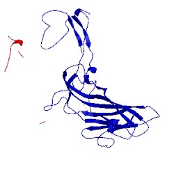 Image of CATH 1na1