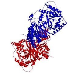 Image of CATH 1ndf