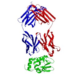 Image of CATH 1ndg