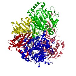 Image of CATH 1ndo