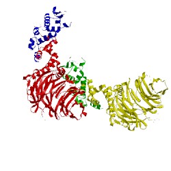 Image of CATH 1nex