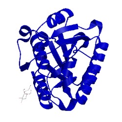 Image of CATH 1nf9