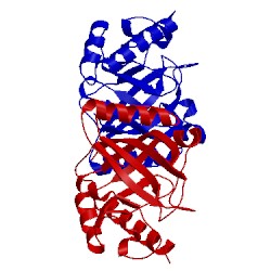 Image of CATH 1ng5