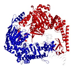 Image of CATH 1ng9