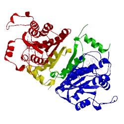 Image of CATH 1nhg