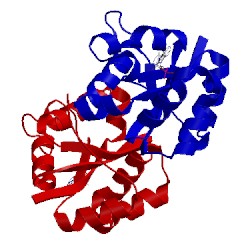 Image of CATH 1nhk