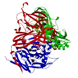 Image of CATH 1nia