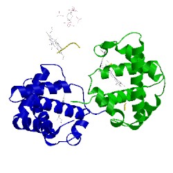 Image of CATH 1nih