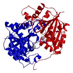 Image of CATH 1nip