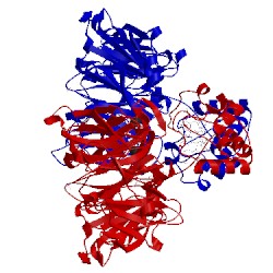 Image of CATH 1nir