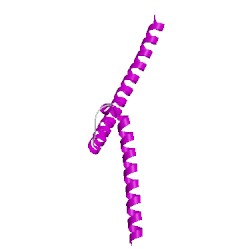 Image of CATH 1nkpD00