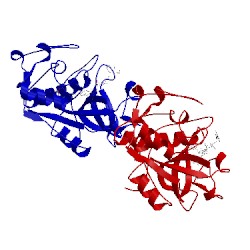 Image of CATH 1nl6