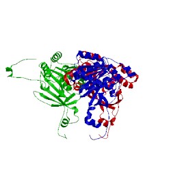 Image of CATH 1nlf