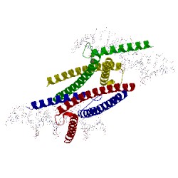 Image of CATH 1nlw