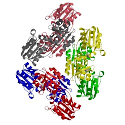 Image of CATH 1nmo
