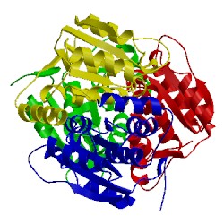 Image of CATH 1nn4