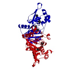 Image of CATH 1nnl