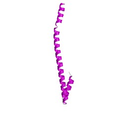 Image of CATH 1no4A00