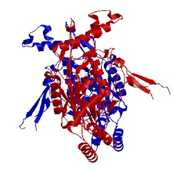 Image of CATH 1nod