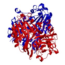 Image of CATH 1nop