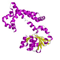 Image of CATH 1np3A