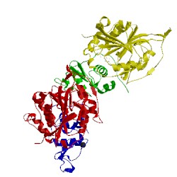 Image of CATH 1nqi