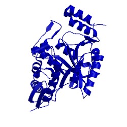 Image of CATH 1nqk
