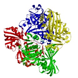 Image of CATH 1nqo