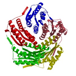 Image of CATH 1nqu