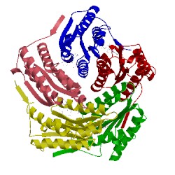 Image of CATH 1nqx