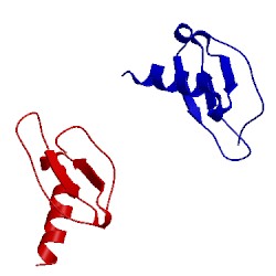 Image of CATH 1nr2
