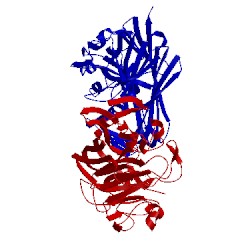 Image of CATH 1ns2