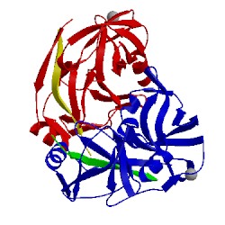 Image of CATH 1ns3
