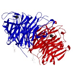 Image of CATH 1nsd