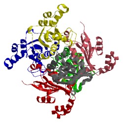 Image of CATH 1nsk