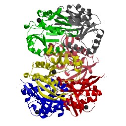 Image of CATH 1nsl