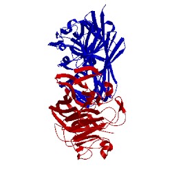 Image of CATH 1nsu