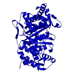Image of CATH 1nth