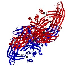 Image of CATH 1nug