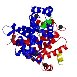 Image of CATH 1nx0