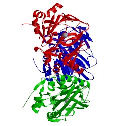 Image of CATH 1nx8