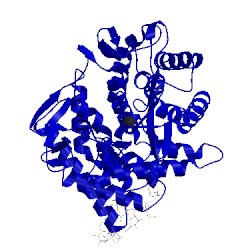 Image of CATH 1nxc