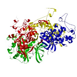 Image of CATH 1nxk