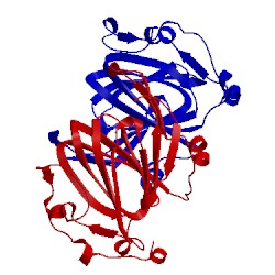 Image of CATH 1nxm