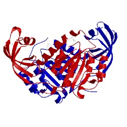 Image of CATH 1nxz