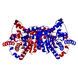Image of CATH 1o1h