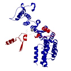 Image of CATH 1o1s